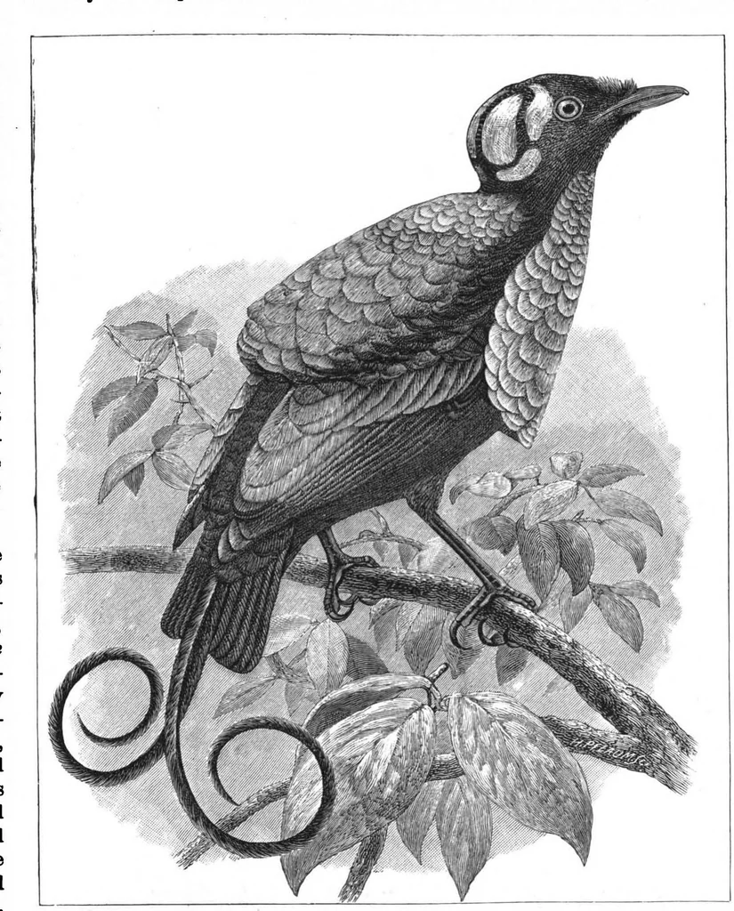 An illustration from Scientific American, Vol. 57, No. 14 (1887), 1887, leaf 8