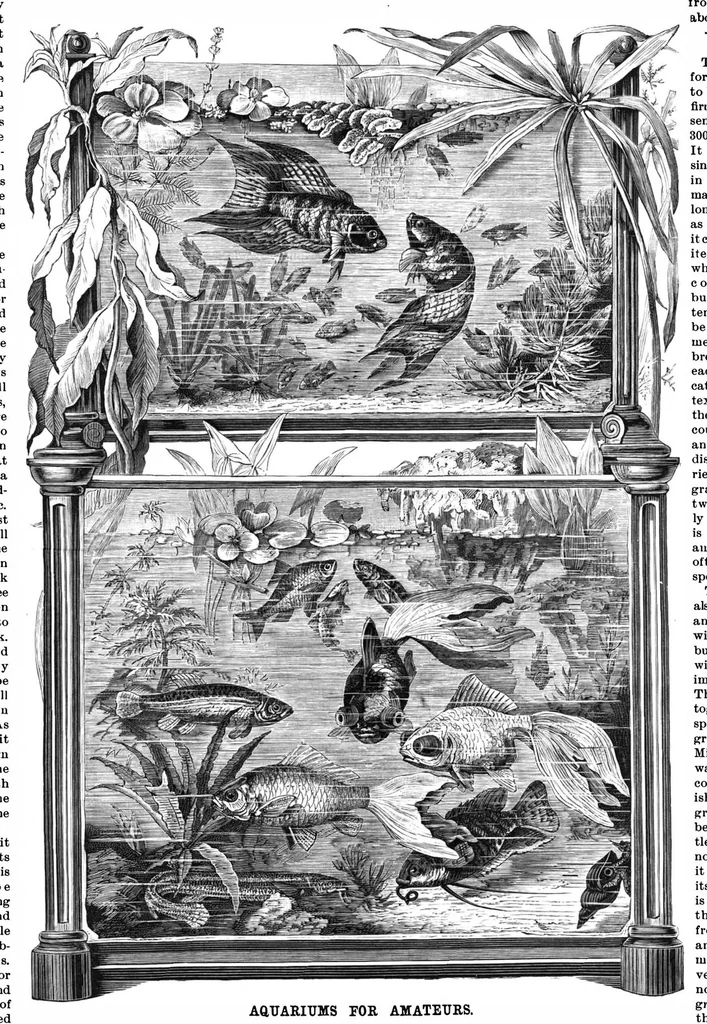 An illustration from Scientific American, Vol. 57, No. 22 (1887), 1887, leaf 8