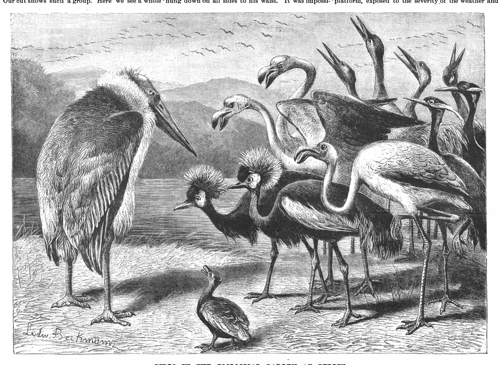 An illustration from Scientific American, Vol. 57, No. 24 (1887), 1887, leaf 8