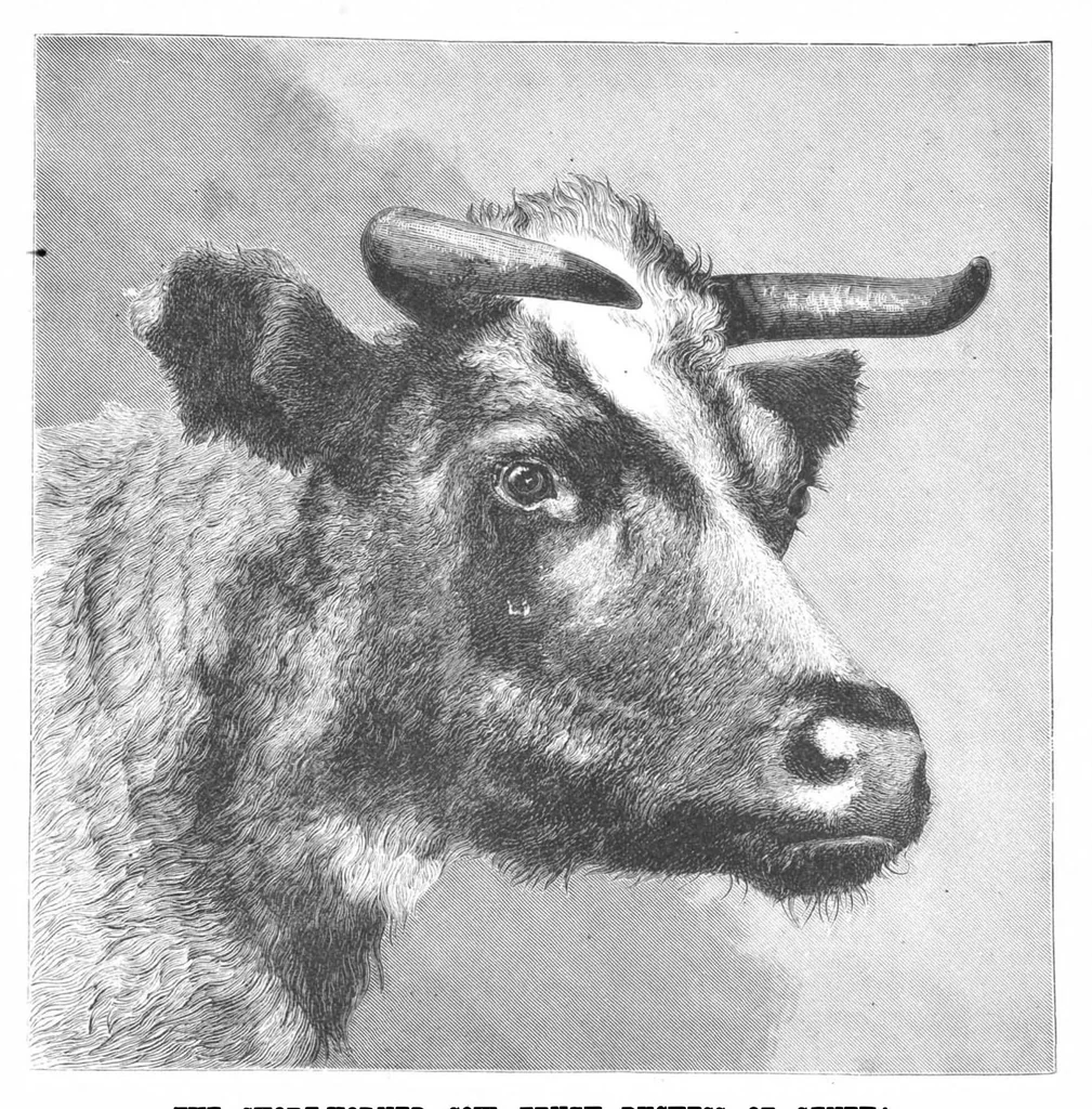 An illustration from Scientific American, Vol. 57, No. 27 (1887), 1887, leaf 6