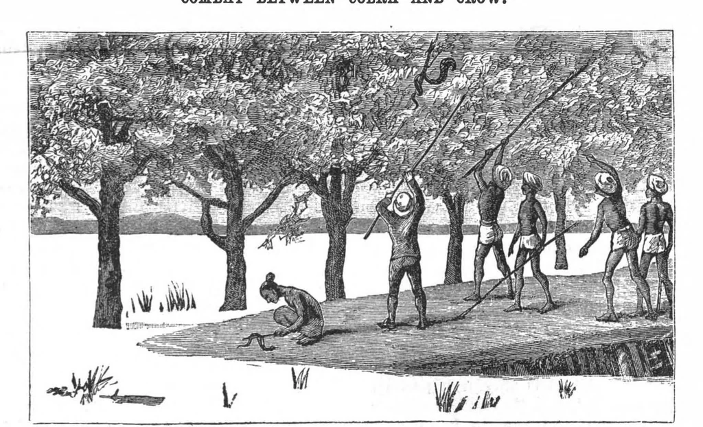An illustration from Scientific American, Vol. 58, No. 2 (1888), 1888, leaf 7