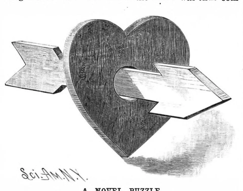 An illustration from Scientific American, Vol. 58, No. 2 (1888), 1888, leaf 8