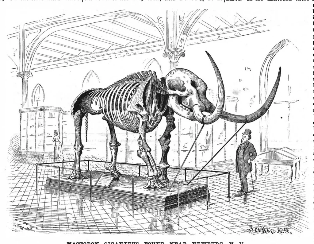 An illustration from Scientific American, Vol. 58, No. 3 (1888), 1888, leaf 8