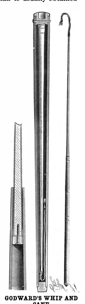 An illustration from Scientific American, Vol. 58, No. 5 (1888), 1888, leaf 4