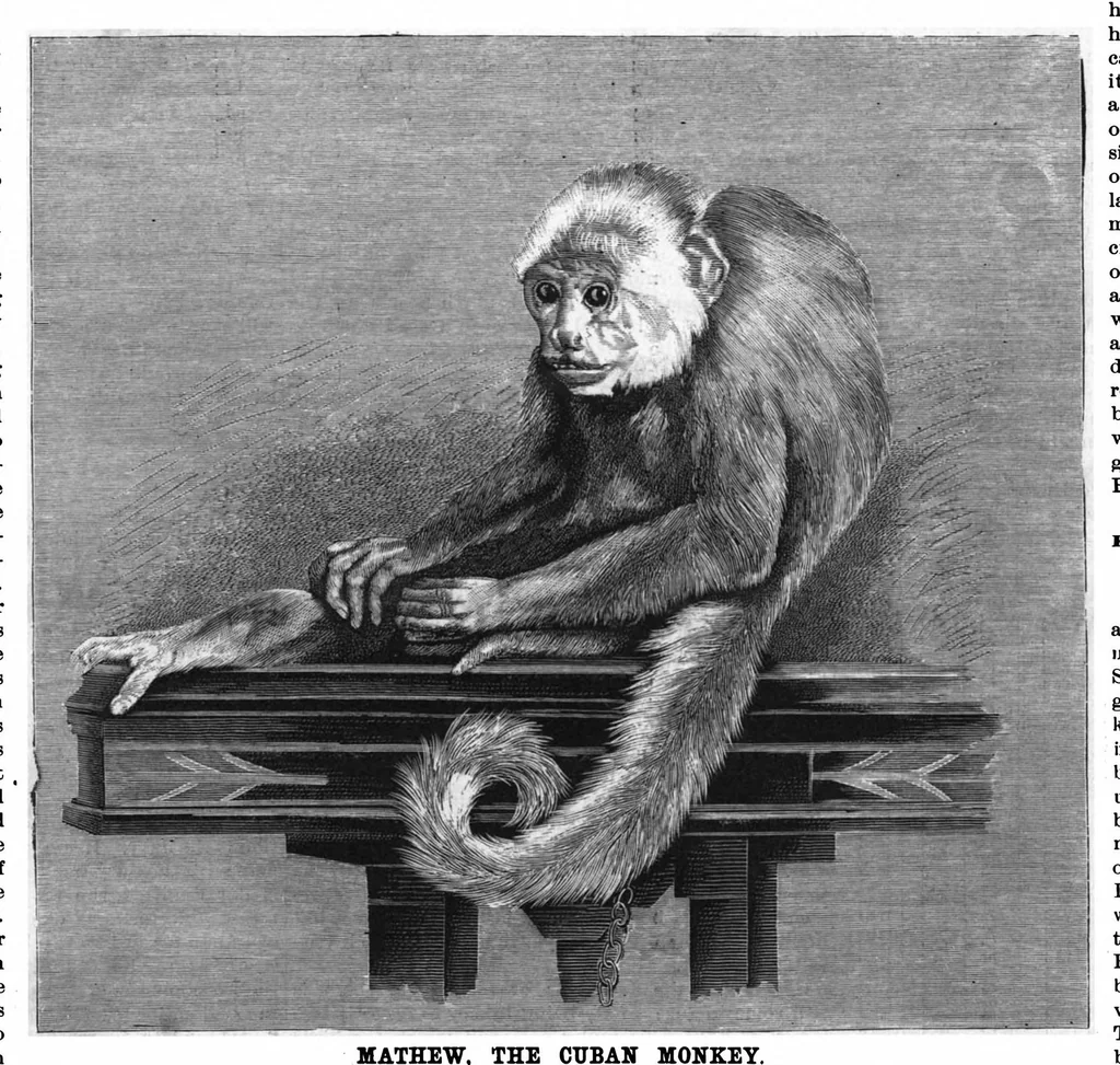 An illustration from Scientific American, Vol. 58, No. 5 (1888), 1888, leaf 8