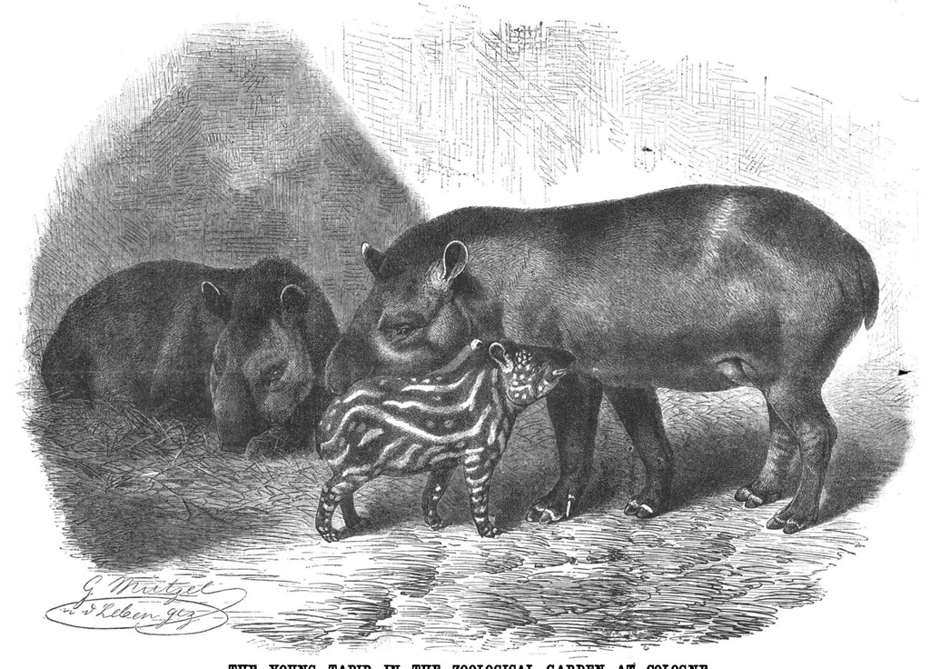 An illustration from Scientific American, Vol. 58, No. 13 (1888), 1888, leaf 7