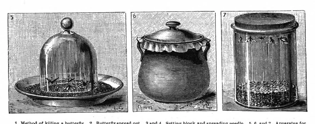 An illustration from Scientific American, Vol. 58, No. 19 (1888), 1888, leaf 10