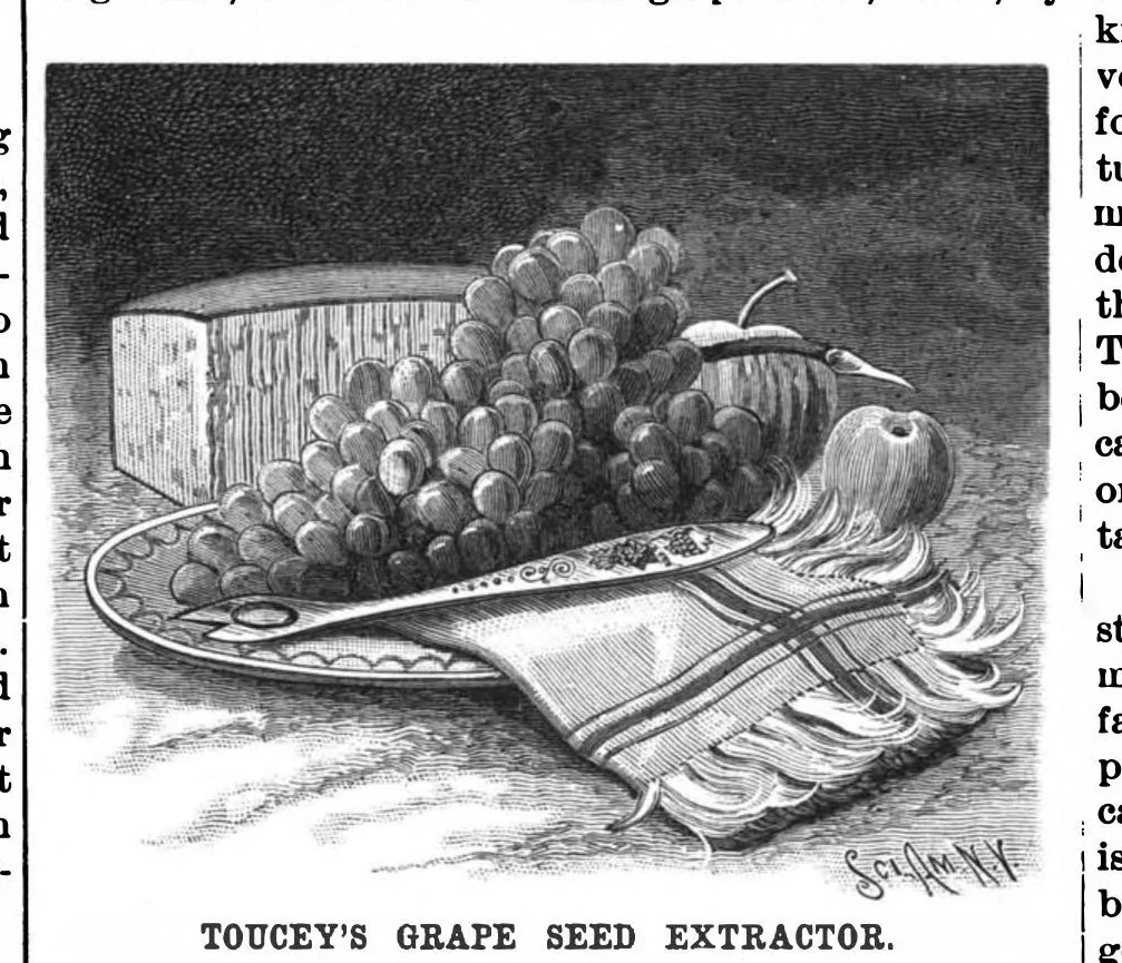 An illustration from Scientific American, Vol. 58, No. 21 (1888), 1888, leaf 5