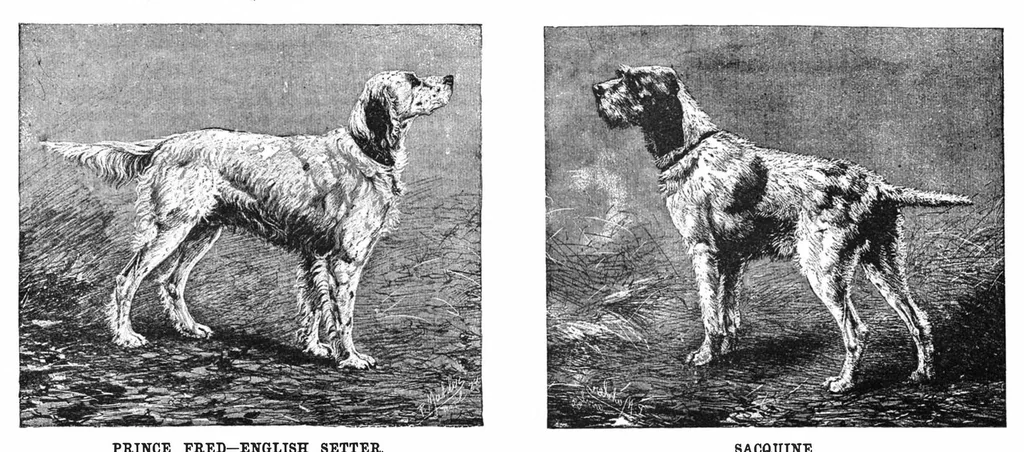 An illustration from Scientific American, Vol. 58, No. 21 (1888), 1888, leaf 8