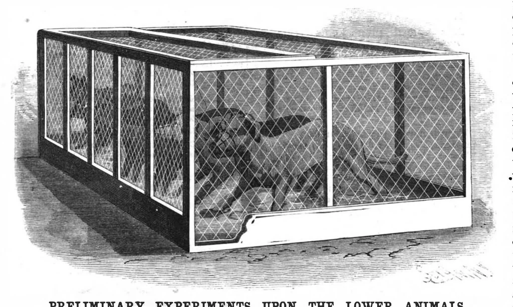 An illustration from Scientific American, Vol. 58, No. 26 (1888), 1888, leaf 8