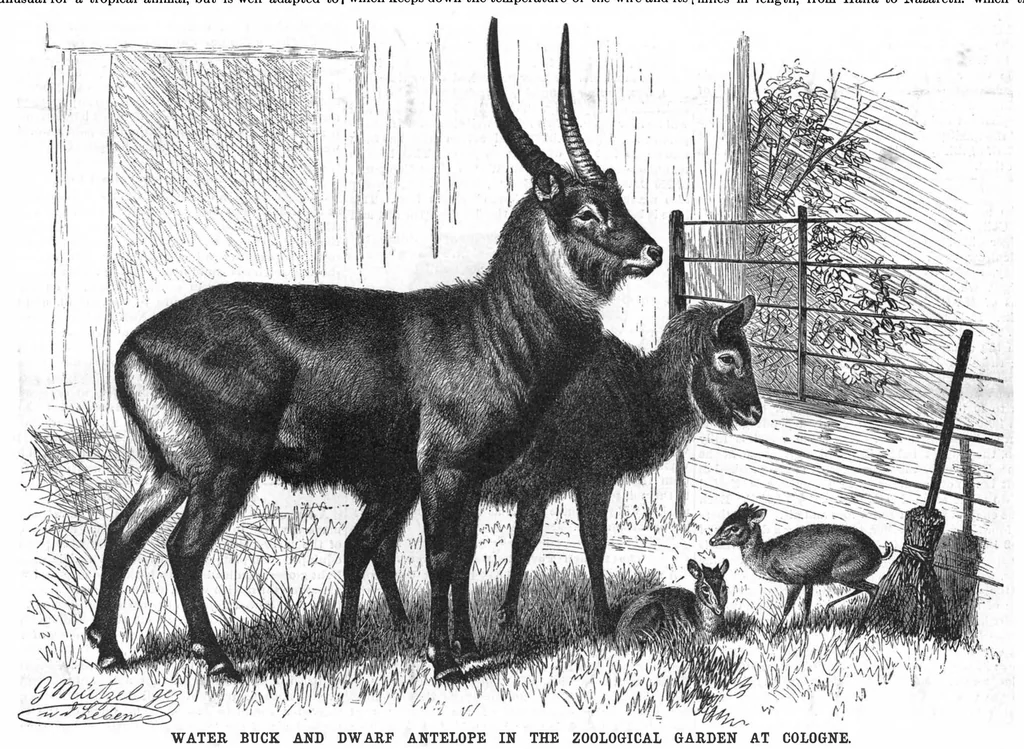 An illustration from Scientific American, Vol. 59, No. 1 (1888), 1888, leaf 9