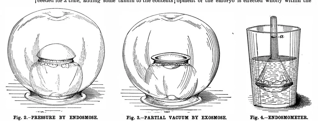An illustration from Scientific American, Vol. 59, No. 4 (1888), 1888, leaf 8