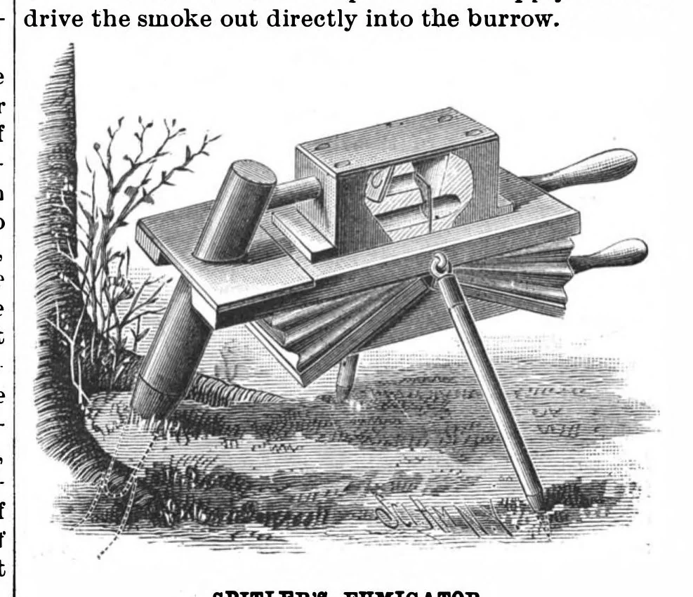 An illustration from Scientific American, Vol. 59, No. 8 (1888), 1888, leaf 3