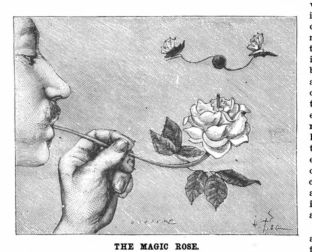 An illustration from Scientific American, Vol. 59, No. 8 (1888), 1888, leaf 8