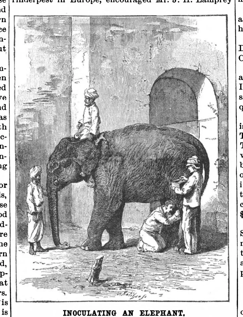 An illustration from Scientific American, Vol. 59, No. 11 (1888), 1888, leaf 10