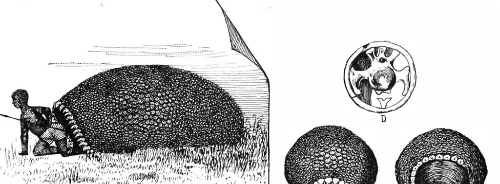 An illustration from Scientific American, Vol. 59, No. 15 (1888), 1888, leaf 10