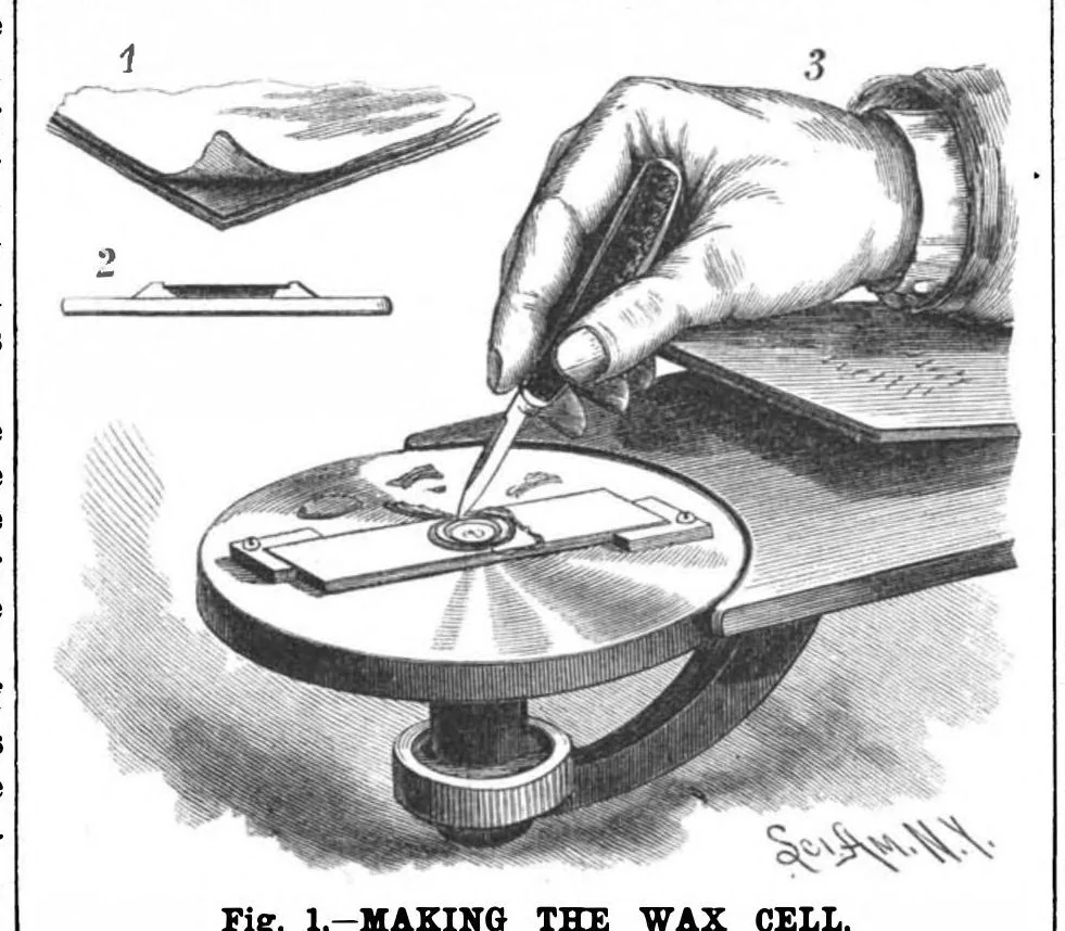 An illustration from Scientific American, Vol. 59, No. 18 (1888), 1888, leaf 10