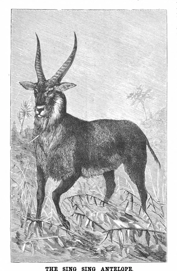 An illustration from Scientific American, Vol. 59, No. 20 (1888), 1888, leaf 10