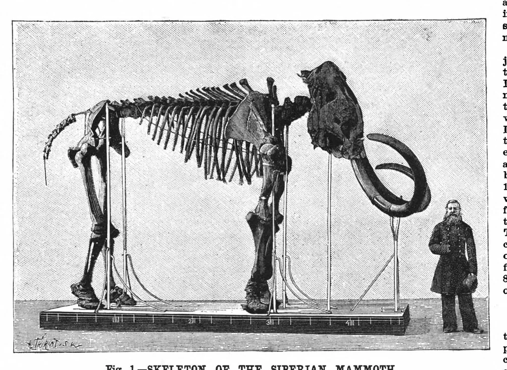 An illustration from Scientific American, Vol. 59, No. 26 (1888), 1888, leaf 8