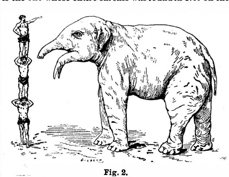 An illustration from Scientific American, Vol. 59, No. 26 (1888), 1888, leaf 8