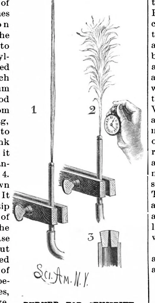 An illustration from Scientific American, Vol. 60, No. 12 (1889), 1889, leaf 4