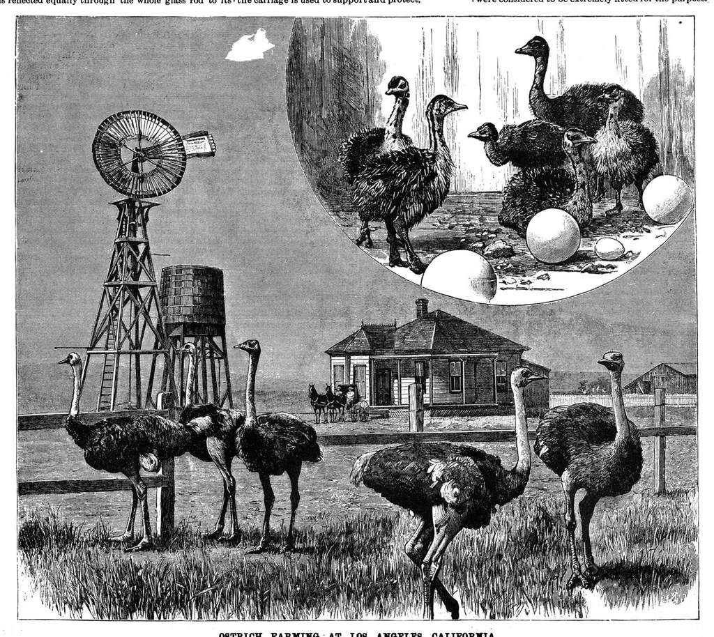 An illustration from Scientific American, Vol. 60, No. 14 (1889), 1889, leaf 4