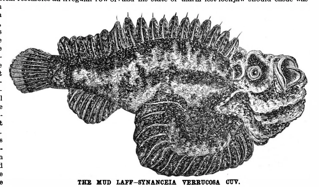 An illustration from Scientific American, Vol. 60, No. 15 (1889), 1889, leaf 4