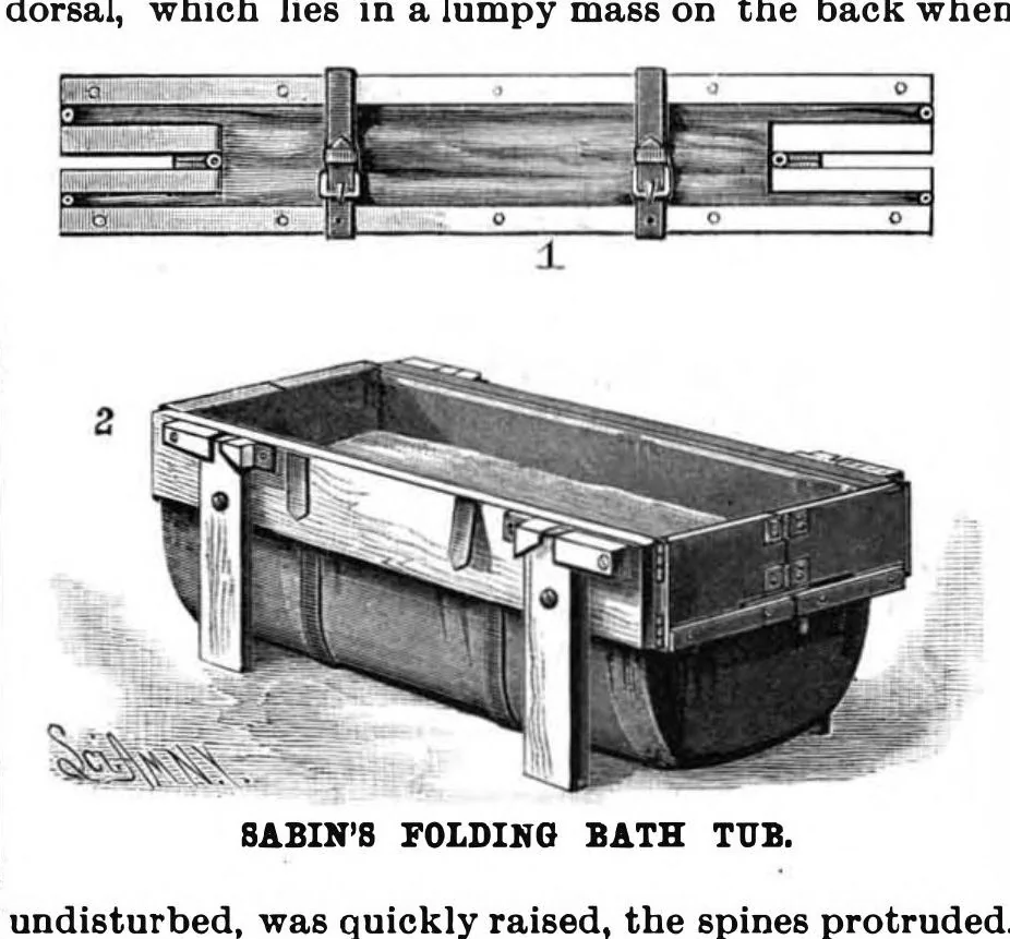 An illustration from Scientific American, Vol. 60, No. 15 (1889), 1889, leaf 4