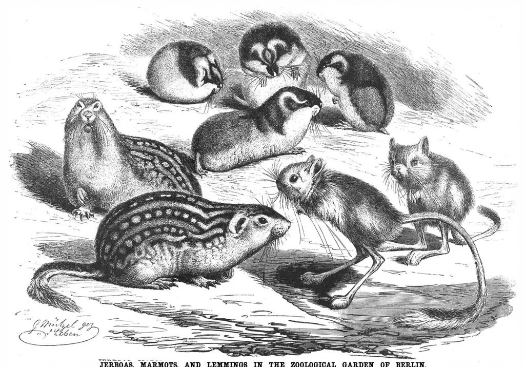 An illustration from Scientific American, Vol. 60, No. 23 (1889), 1889, leaf 4