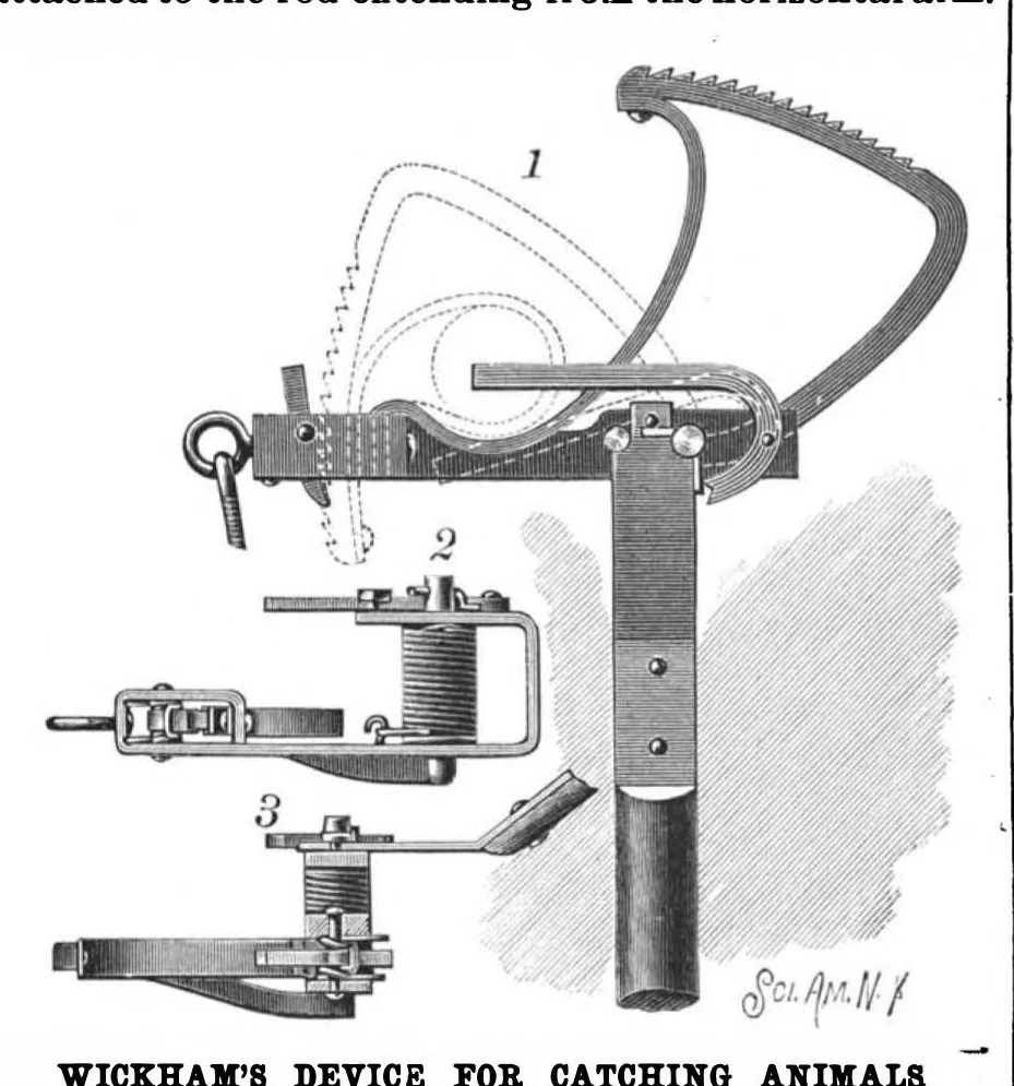 An illustration from Scientific American, Vol. 60, No. 26 (1889), 1889, leaf 4
