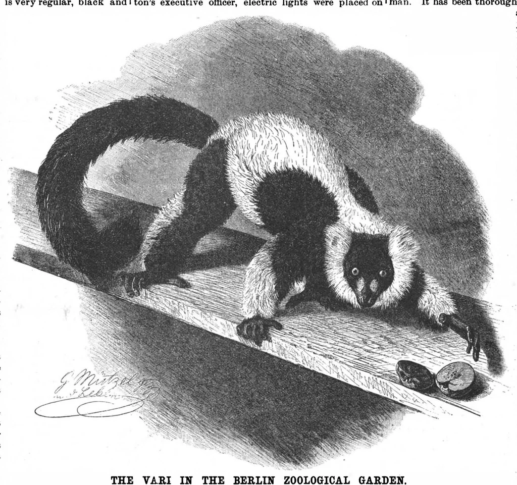 An illustration from Scientific American, Vol. 61, No. 1 (1889), 1889, leaf 10
