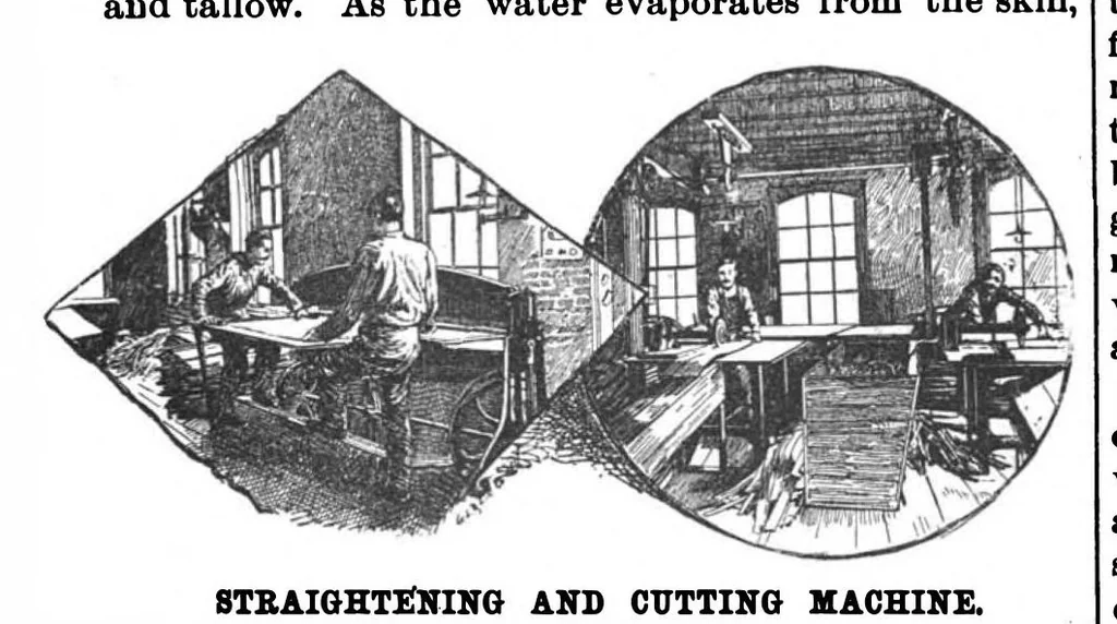 An illustration from Scientific American, Vol. 61, No. 1 (1889), 1889, leaf 7