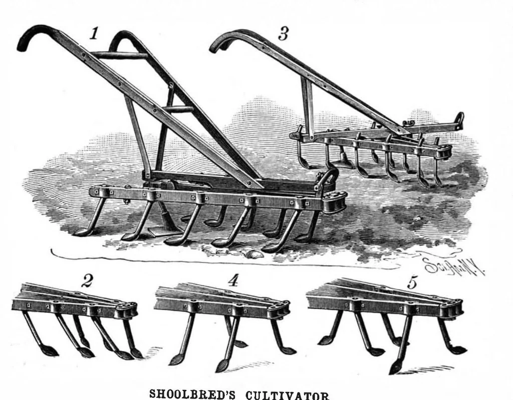 An illustration from Scientific American, Vol. 61, No. 5 (1889), 1889, leaf 4
