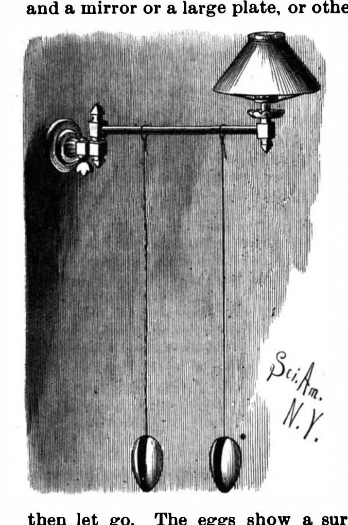 An illustration from Scientific American, Vol. 61, No. 5 (1889), 1889, leaf 9