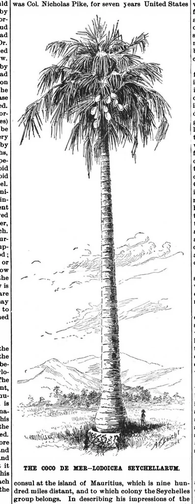 An illustration from Scientific American, Vol. 61, No. 7 (1889), 1889, leaf 10