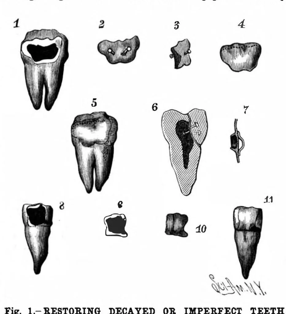 An illustration from Scientific American, Vol. 61, No. 7 (1889), 1889, leaf 3