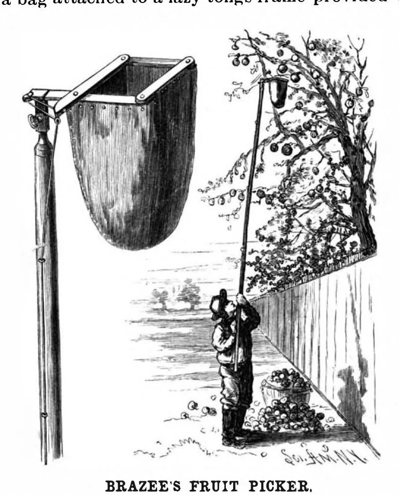 An illustration from Scientific American, Vol. 61, No. 12 (1889), 1889, leaf 3