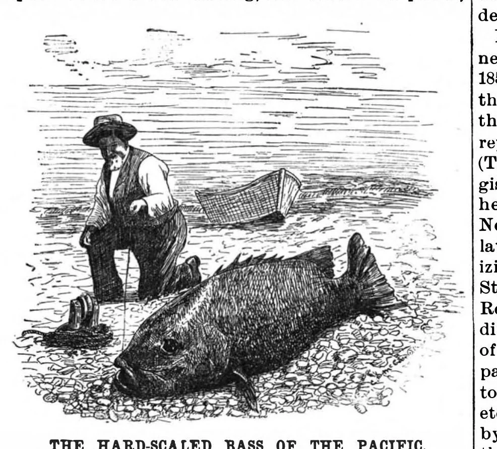 An illustration from Scientific American, Vol. 61, No. 17 (1889), 1889, leaf 10