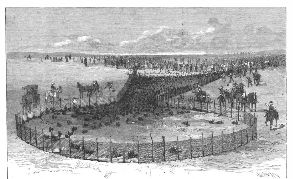 An illustration from Scientific American, Vol. 61, No. 19 (1889), 1889, leaf 8
