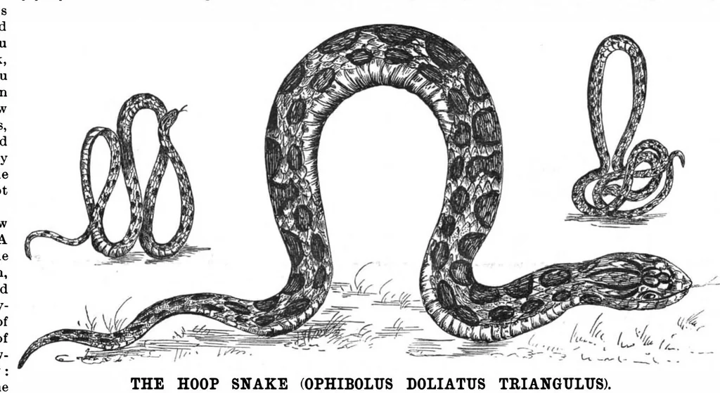 An illustration from Scientific American, Vol. 61, No. 22 (1889), 1889, leaf 9