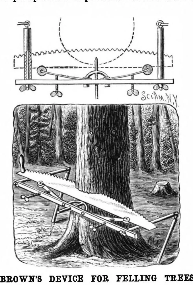An illustration from Scientific American, Vol. 61, No. 25 (1889), 1889, leaf 4