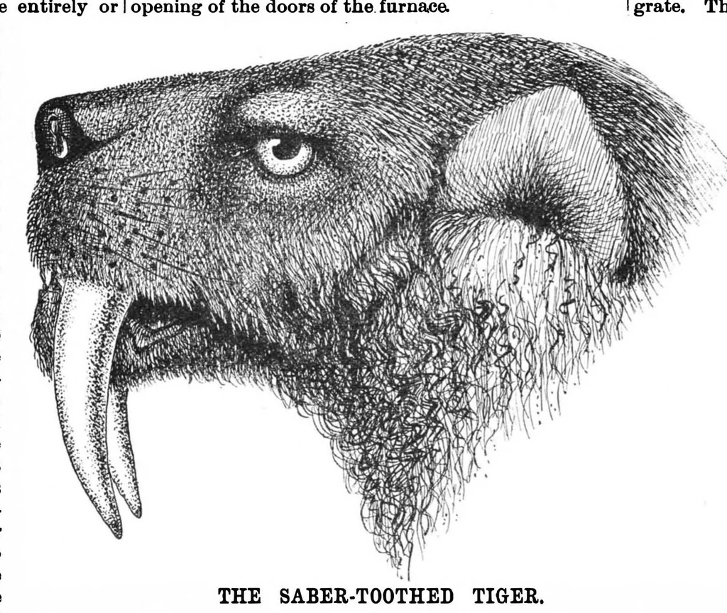 An illustration from Scientific American, Vol. 61, No. 25 (1889), 1889, leaf 7