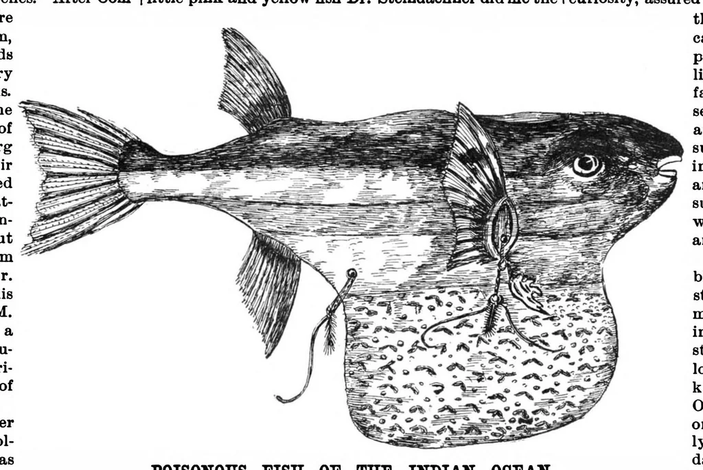 An illustration from Scientific American, Vol. 61, No. 26 (1889), 1889, leaf 7