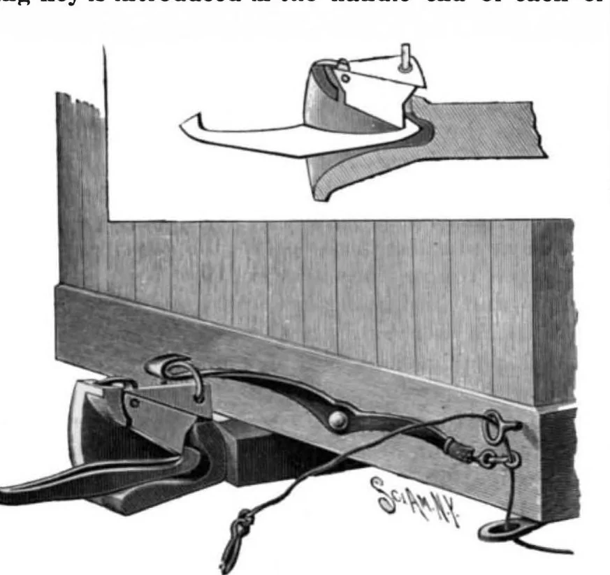 An illustration from Scientific American, Vol. 62, No. 5 (1890), 1890, leaf 3
