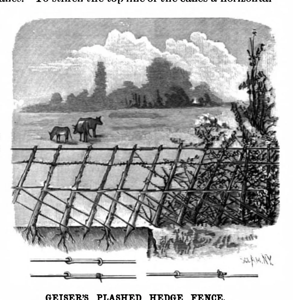 An illustration from Scientific American, Vol. 62, No. 9 (1890), 1890, leaf 5