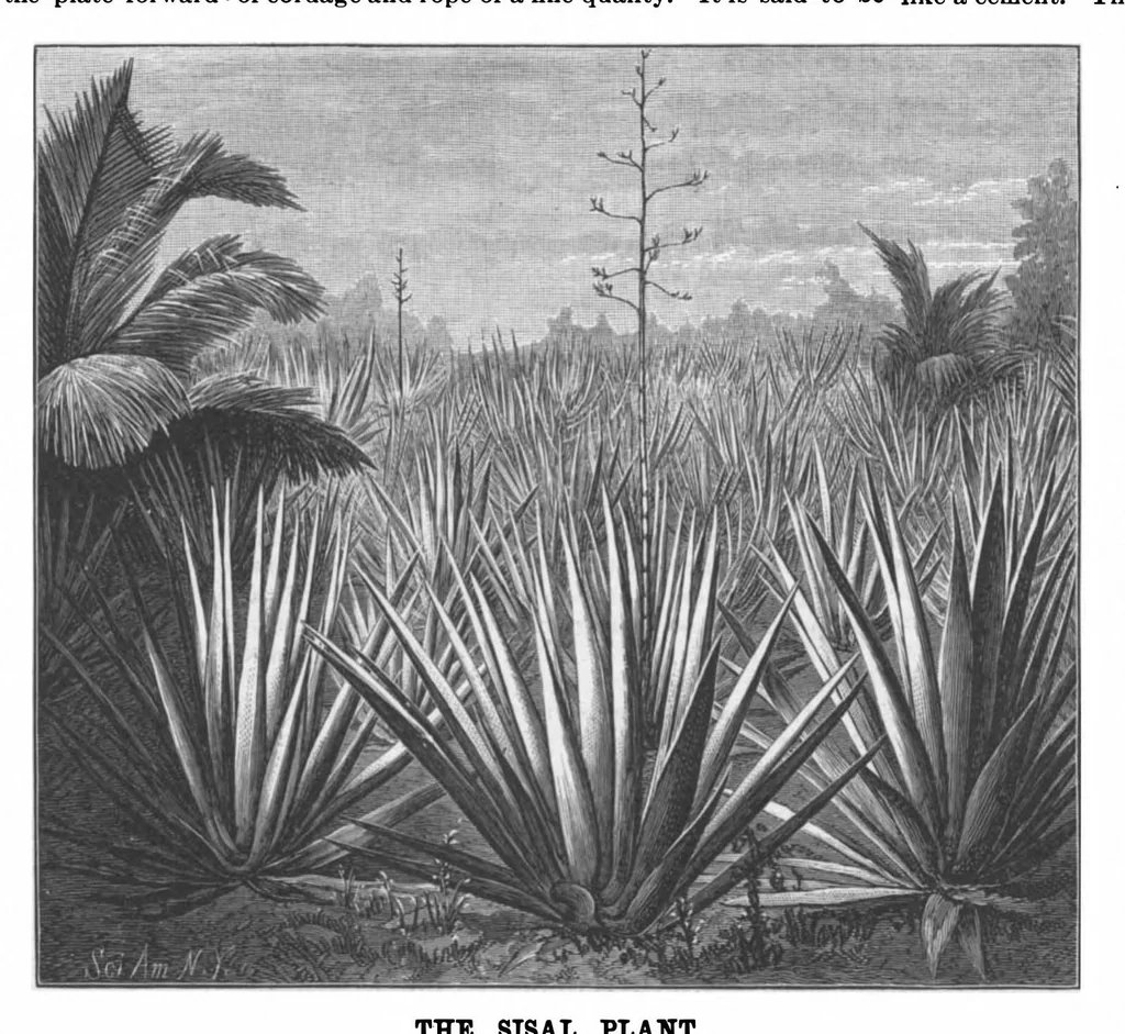 An illustration from Scientific American, Vol. 62, No. 10 (1890), 1890, leaf 3
