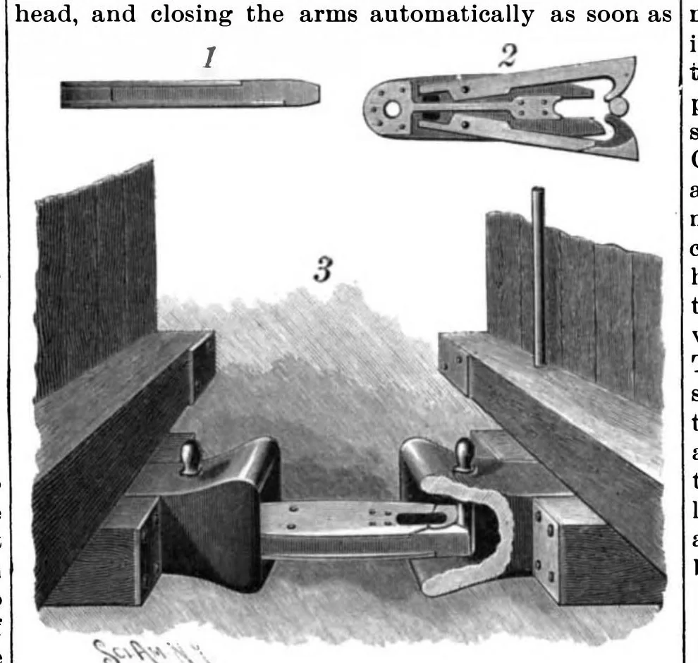 An illustration from Scientific American, Vol. 62, No. 12 (1890), 1890, leaf 5