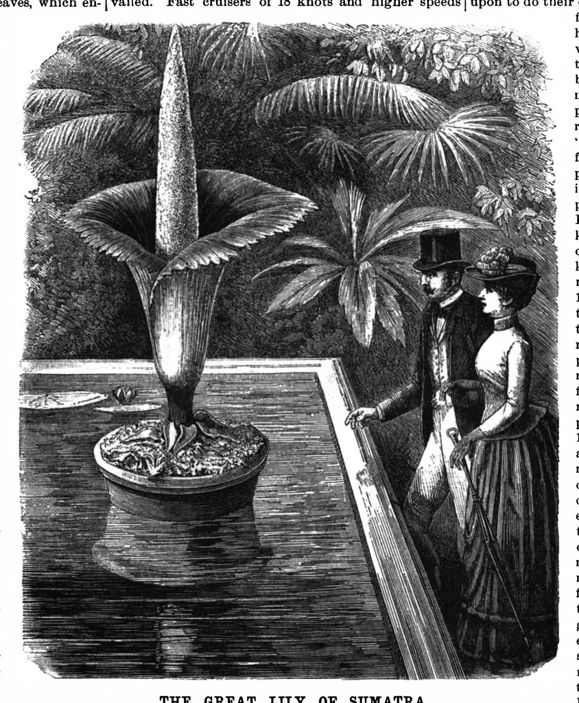 An illustration from Scientific American, Vol. 62, No. 20 (1890), 1890, leaf 9