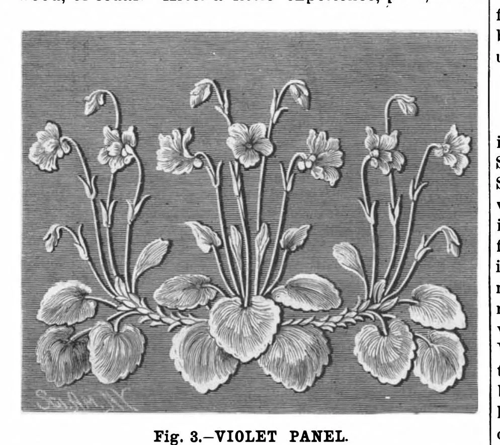 An illustration from Scientific American, Vol. 62, No. 23 (1890), 1890, leaf 10