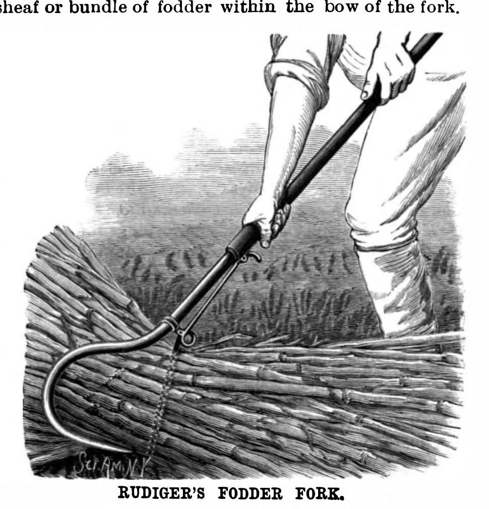 An illustration from Scientific American, Vol. 62, No. 23 (1890), 1890, leaf 3
